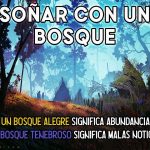 Qué representa soñar con un bosque